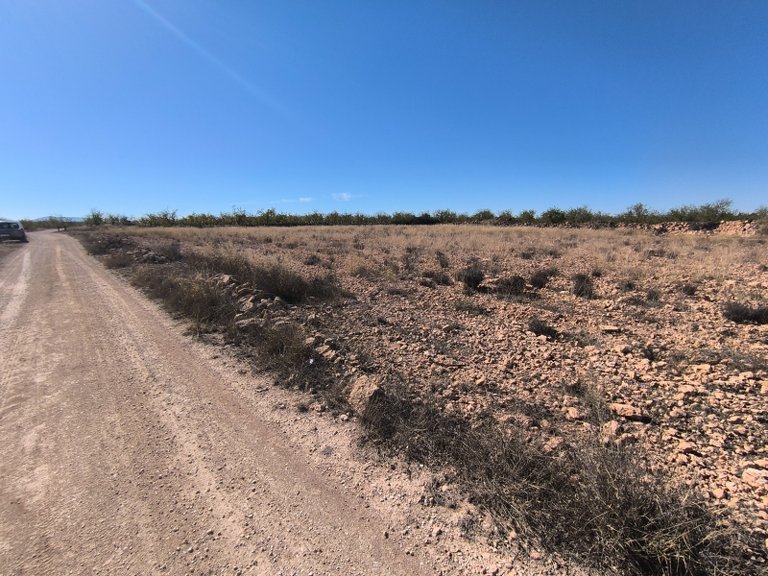 Plot for Sale in Pinoso, Alicante 7
