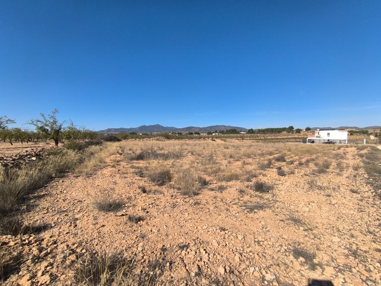 Plot for Sale in Pinoso, Alicante 6