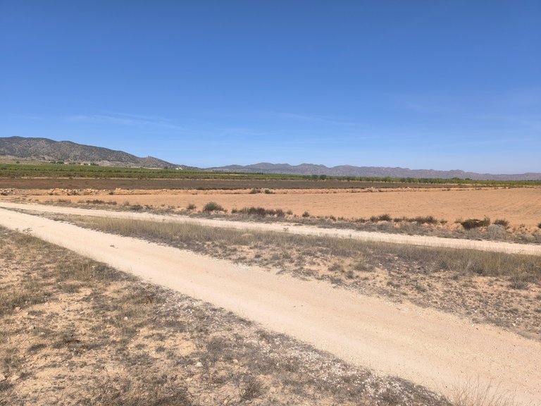 Plot for Sale in Pinoso, Alicante 3