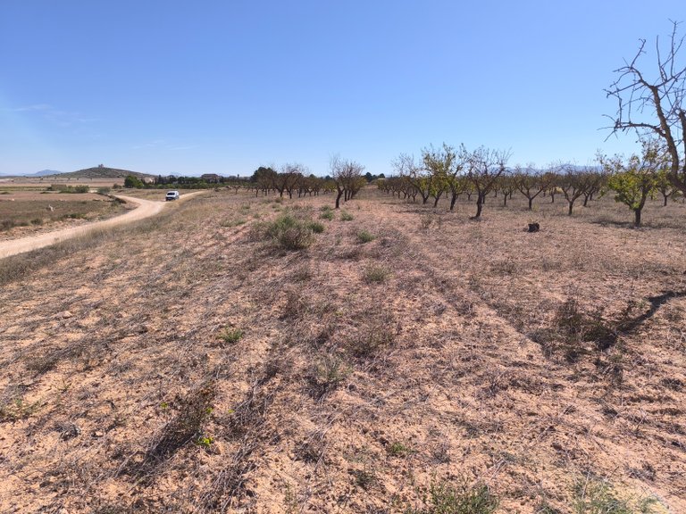 Plot for Sale in Pinoso, Alicante 9