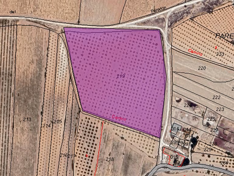 Plot for Sale in Pinoso, Alicante 10