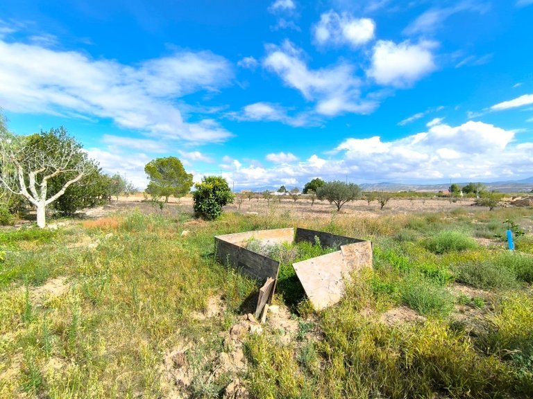 Country House for Sale in Yecla, Murcia 15