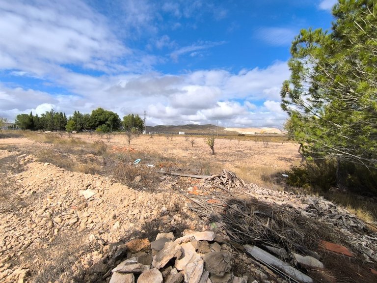Country House for Sale in Yecla, Murcia 6