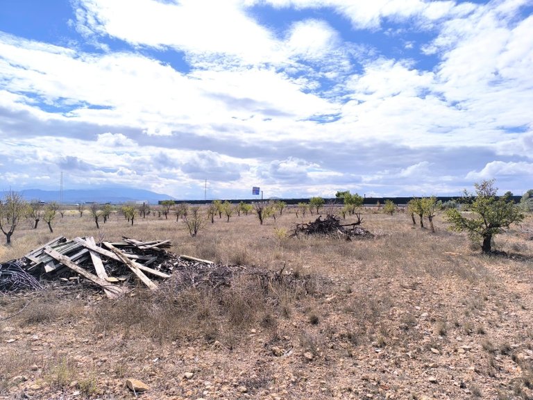 Country House for Sale in Yecla, Murcia 13