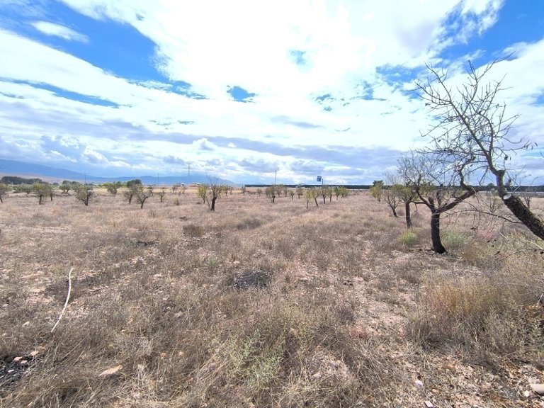 Country House for Sale in Yecla, Murcia 14