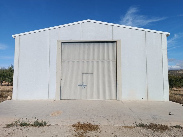 Plot for Sale in Yecla, Murcia 7
