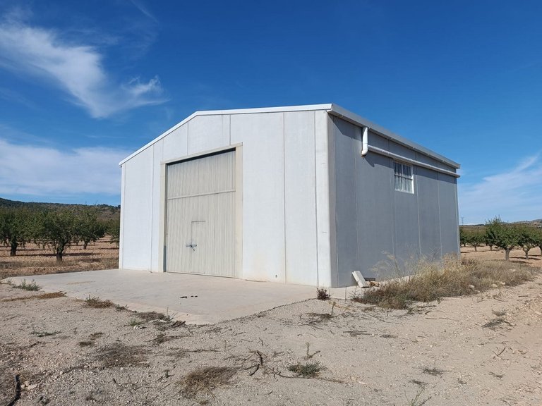 Plot for Sale in Yecla, Murcia 6