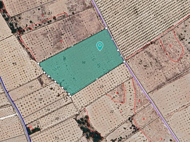 Plot for Sale in Monovar, Alicante 4
