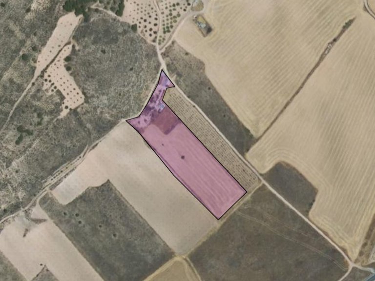 Country House for Sale in Yecla, Murcia 15