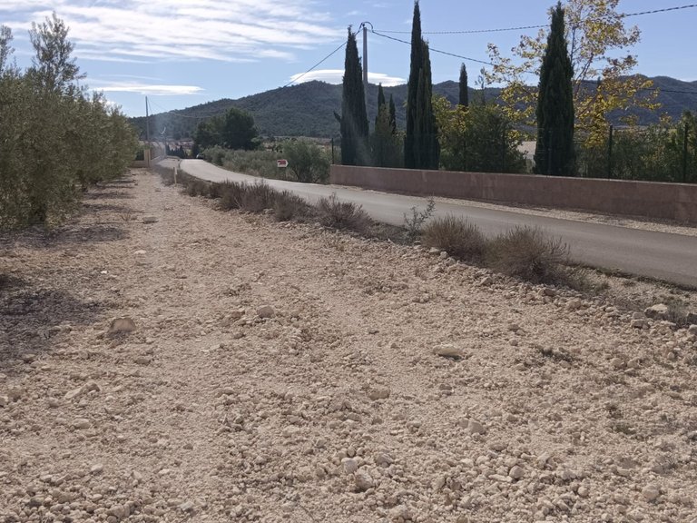 Plot for Sale in Salinas, Alicante 8