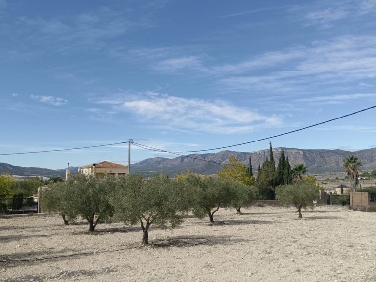 Plot for Sale in Salinas, Alicante 10