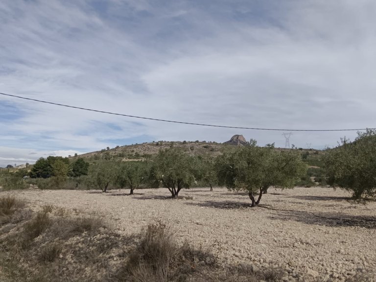 Plot for Sale in Salinas, Alicante 9