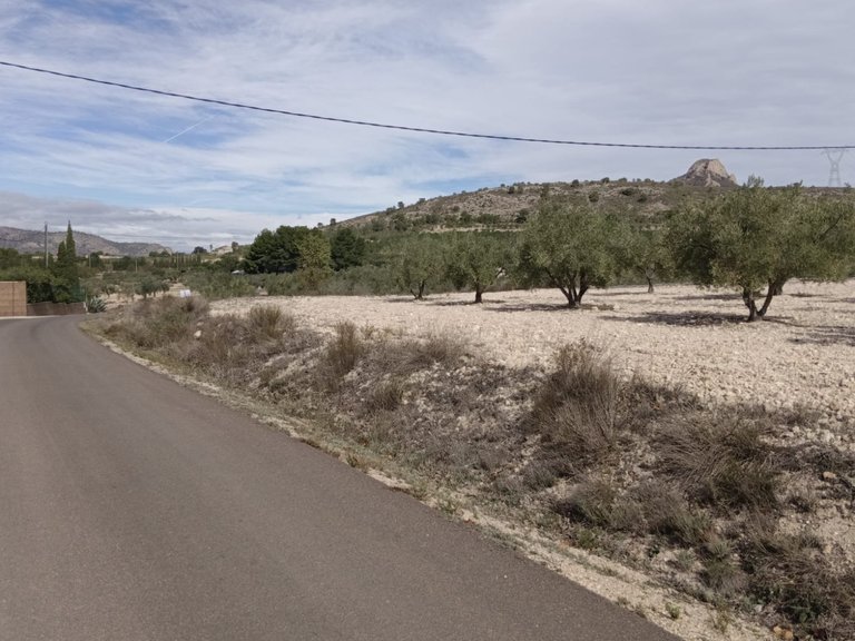 Plot for Sale in Salinas, Alicante 1