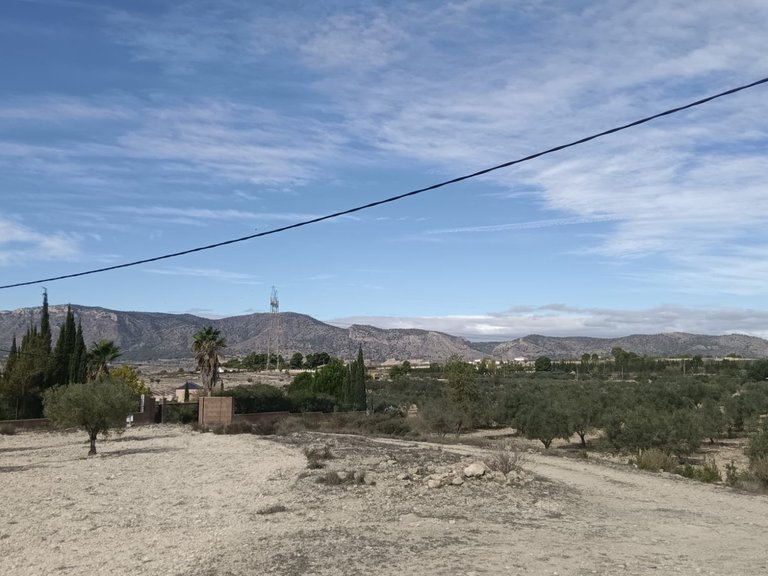 Plot for Sale in Salinas, Alicante 3