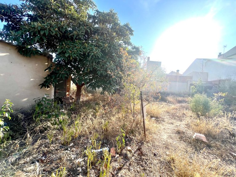 Town House for Sale in Pinoso, Alicante 27