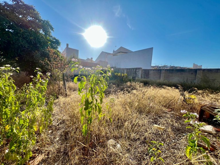Town House for Sale in Pinoso, Alicante 7