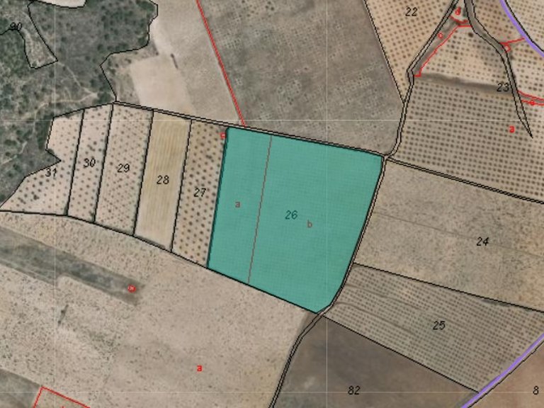 Plot for Sale in Yecla, Murcia 5