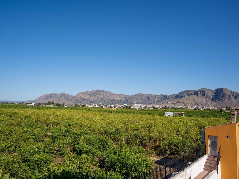 Villa for Sale in Orihuela, Alicante 6