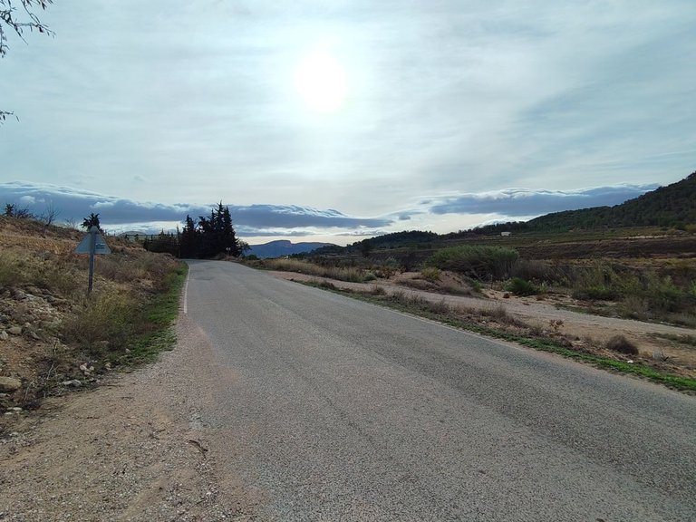 Plot for Sale in Monovar, Alicante 14