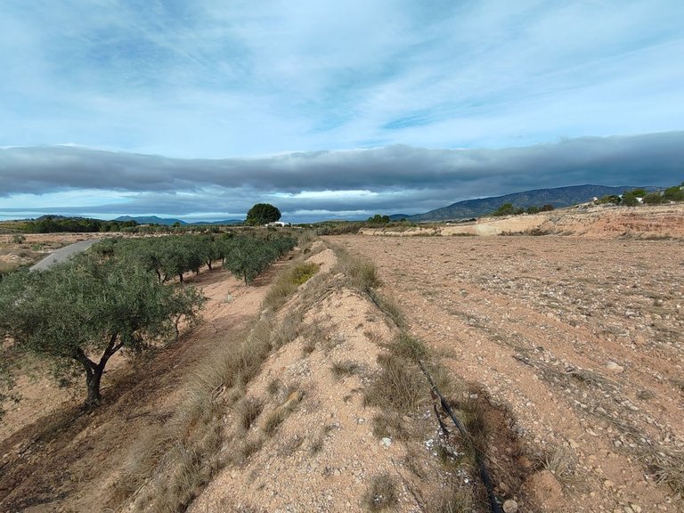 Plot for Sale in Monovar, Alicante 8