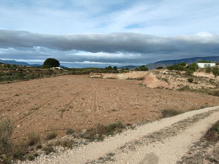 Plot for Sale in Monovar, Alicante 5