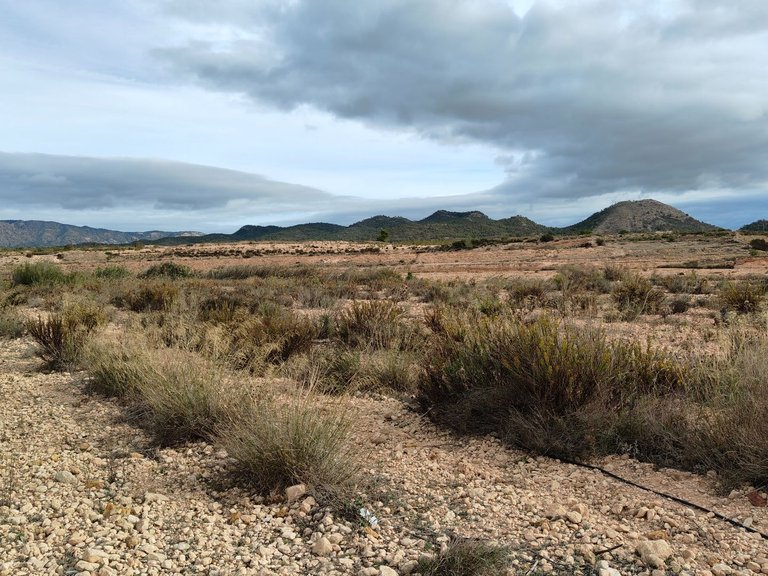 Plot for Sale in Monovar, Alicante 11