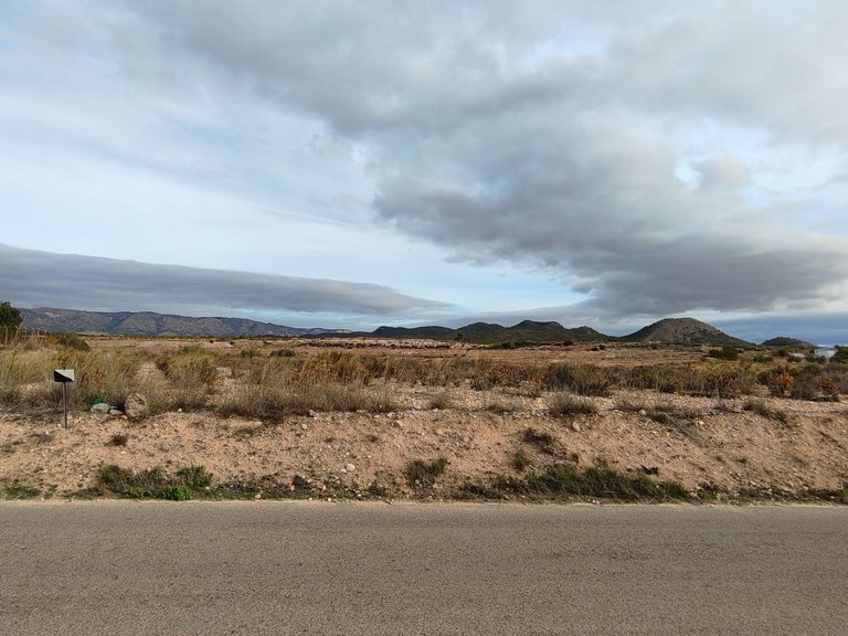 Plot for Sale in Monovar, Alicante 13