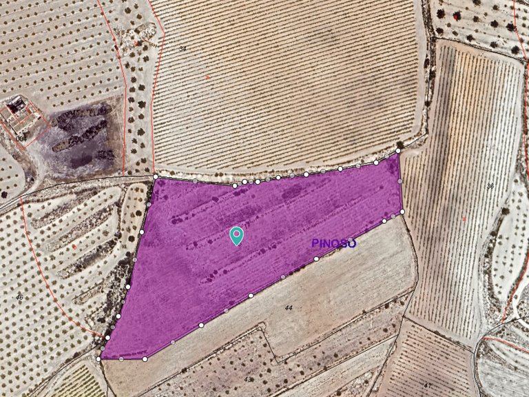 Plot for Sale in Pinoso, Alicante 1