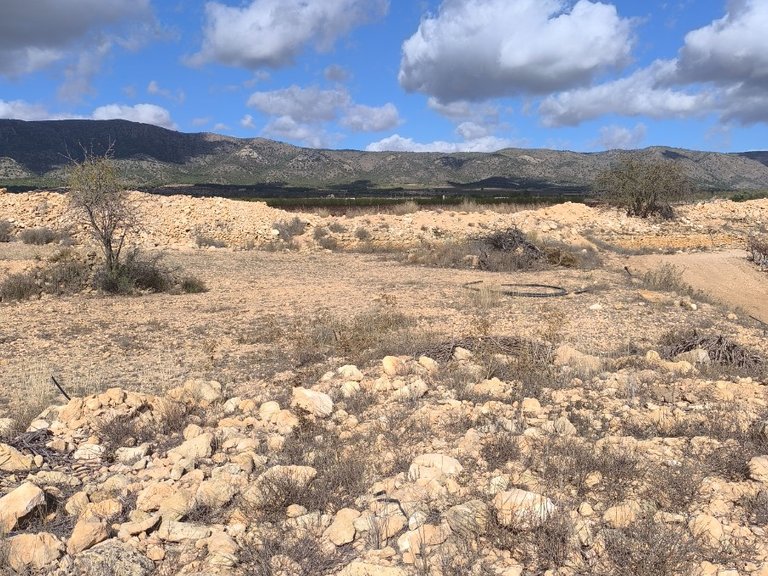 Plot for Sale in Pinoso, Alicante 4