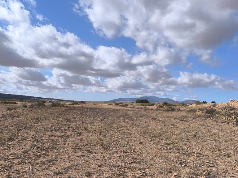 Plot for Sale in Pinoso, Alicante 5