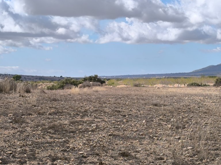 Plot for Sale in Pinoso, Alicante 6