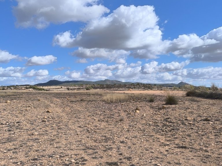 Plot for Sale in Pinoso, Alicante 11