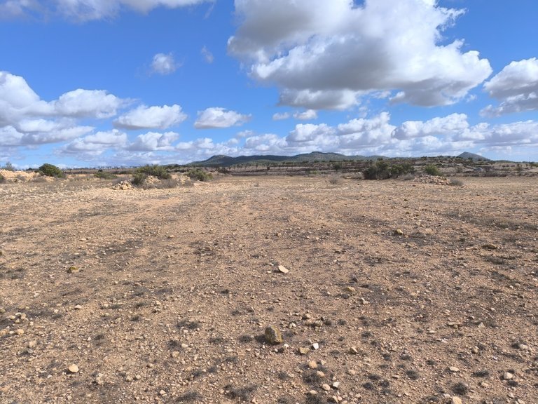 Plot for Sale in Pinoso, Alicante 9
