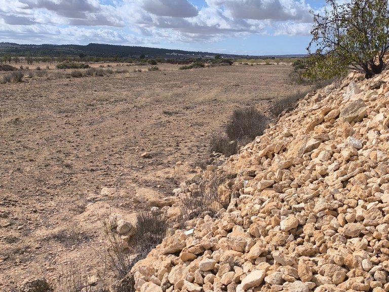 Plot for Sale in Pinoso, Alicante 7