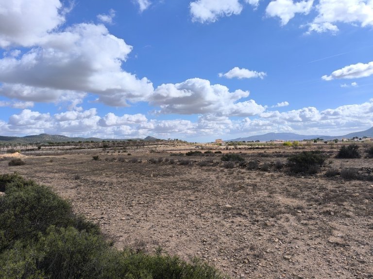 Plot for Sale in Pinoso, Alicante 10