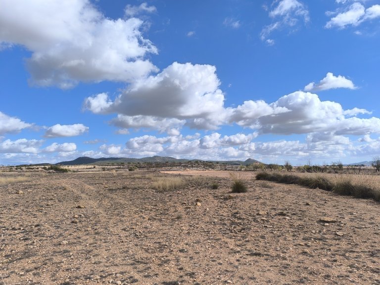 Plot for Sale in Pinoso, Alicante 12