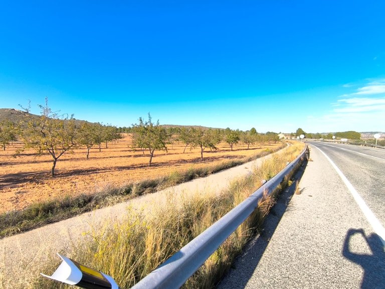 Plot for Sale in Yecla, Murcia 1