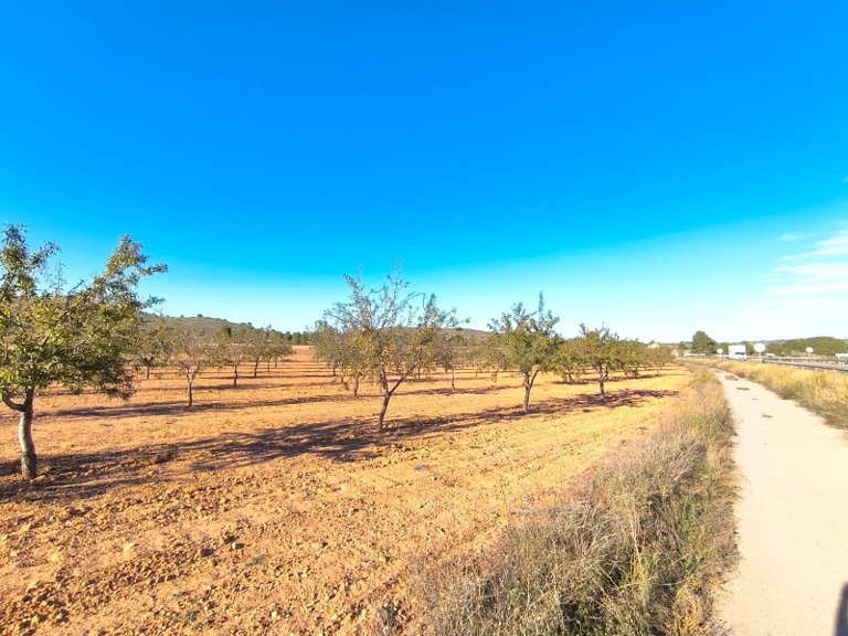 Plot for Sale in Yecla, Murcia 2