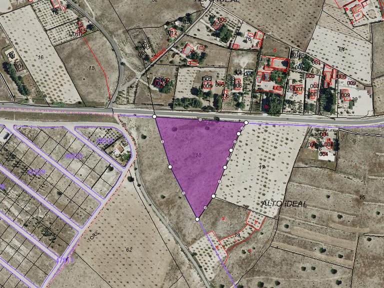 Plot for Sale in Salinas, Alicante 5
