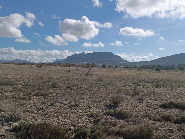 Plot for Sale in Salinas, Alicante 2