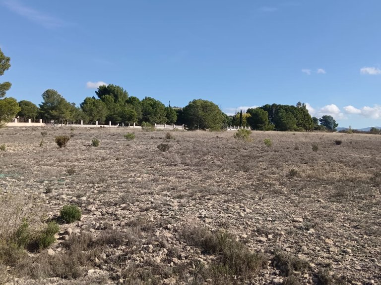 Plot for Sale in Salinas, Alicante 3
