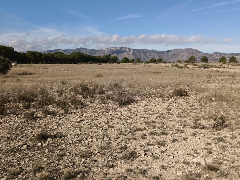 Plot for Sale in Salinas, Alicante 4