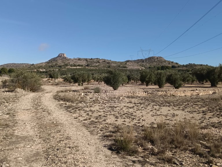 Plot for Sale in Salinas, Alicante 2