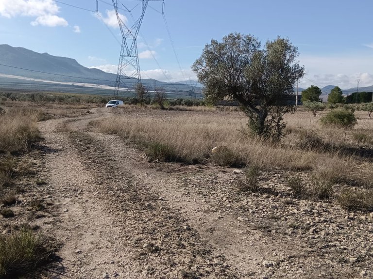 Plot for Sale in Salinas, Alicante 5