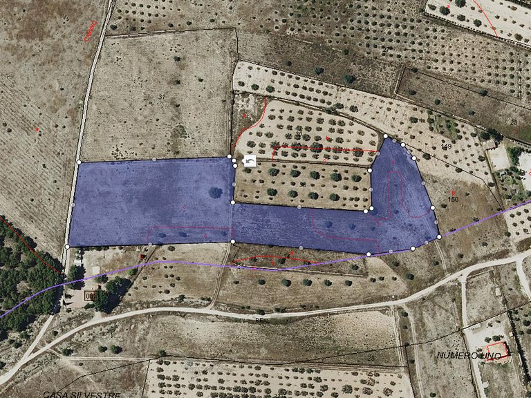 Plot for Sale in Salinas, Alicante 6
