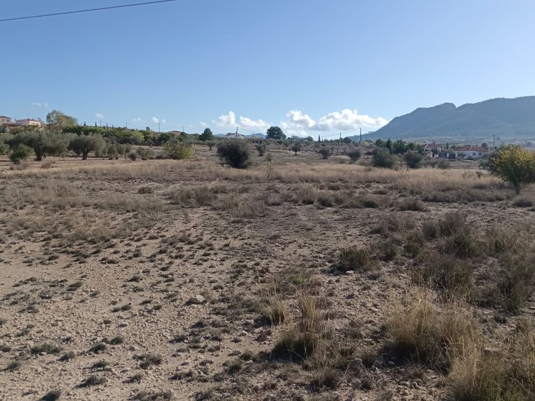 Plot for Sale in Salinas, Alicante 3