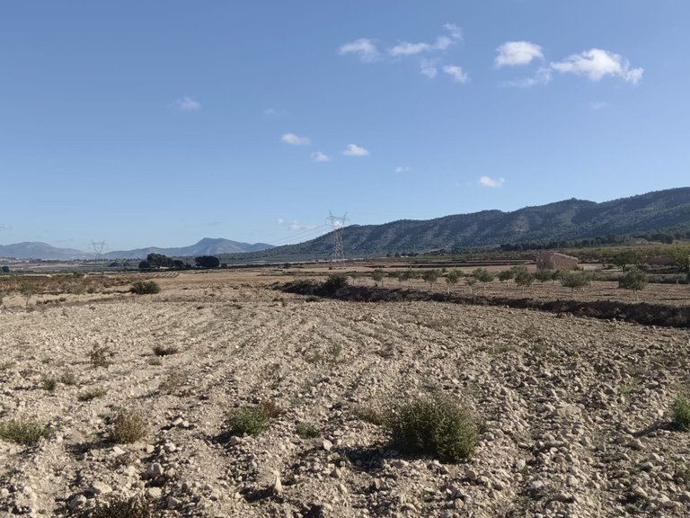 Plot for Sale in Salinas, Alicante 5