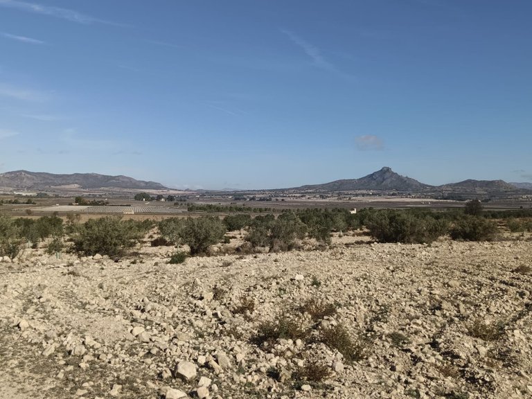 Plot for Sale in Salinas, Alicante 7