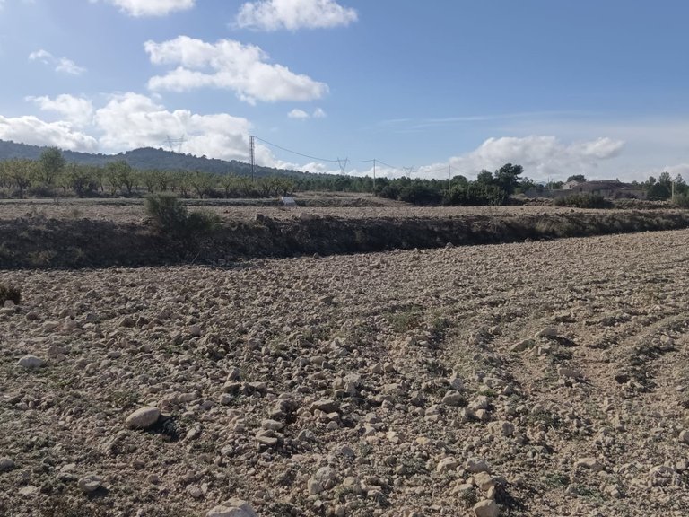 Plot for Sale in Salinas, Alicante 3