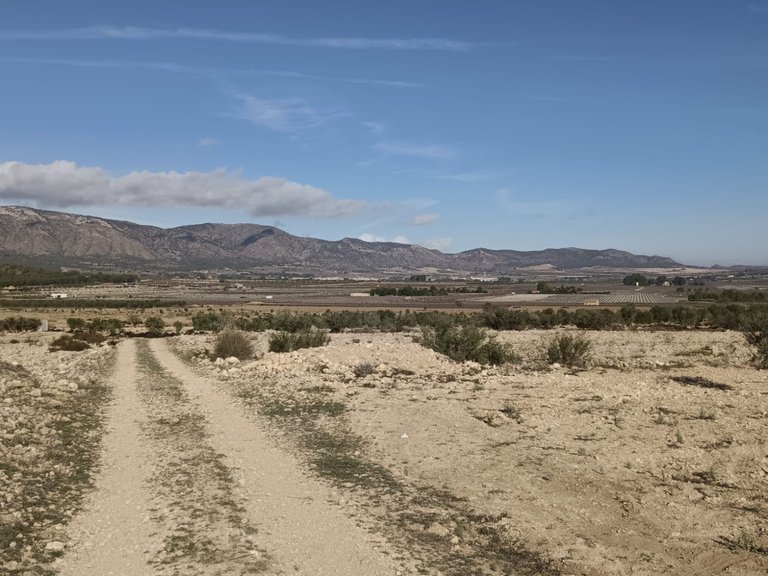 Plot for Sale in Salinas, Alicante 2